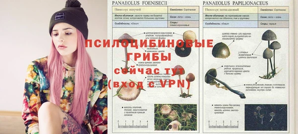 мескалин Богданович